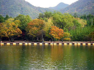 そろそろ秋も深まりそう